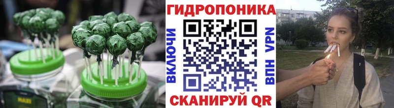 Cannafood конопля  МЕГА как войти  Кизляр 