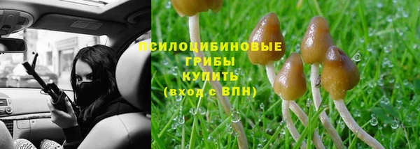 spice Кондопога