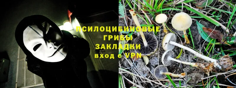 Галлюциногенные грибы MAGIC MUSHROOMS  Кизляр 