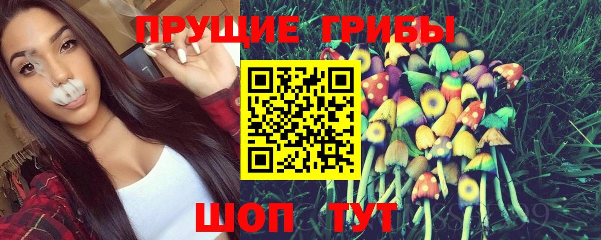 Галлюциногенные грибы мухоморы  что такое наркотик  Кизляр  Вход с VPN  Галлюциногенные грибы мицелий 