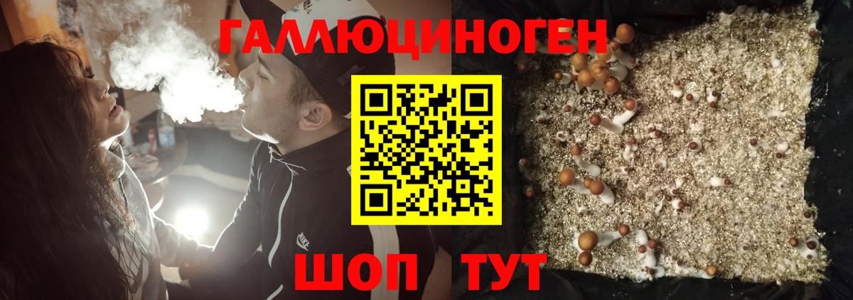 Галлюциногенные грибы прущие грибы Кизляр